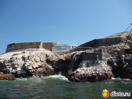 7 ����: ������� - ���������� � ����� ������