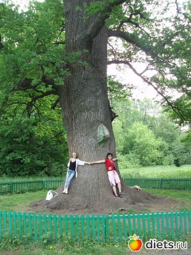 9 ����: ���������� 7-9 ��� 2012