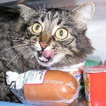 Всяко разно