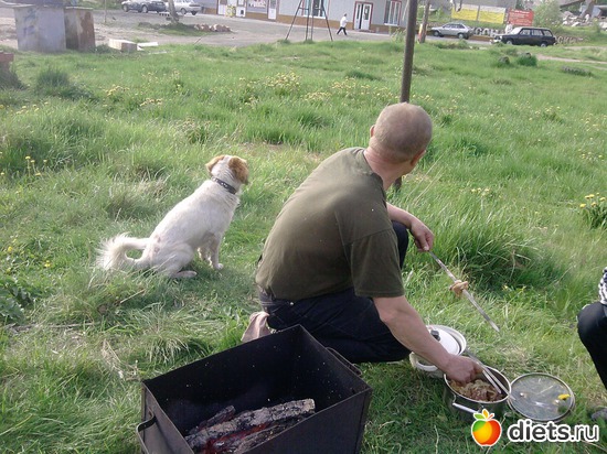 4 фото: мои пушистики