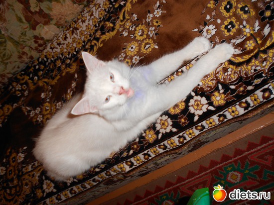 4 ����: ��� ���������