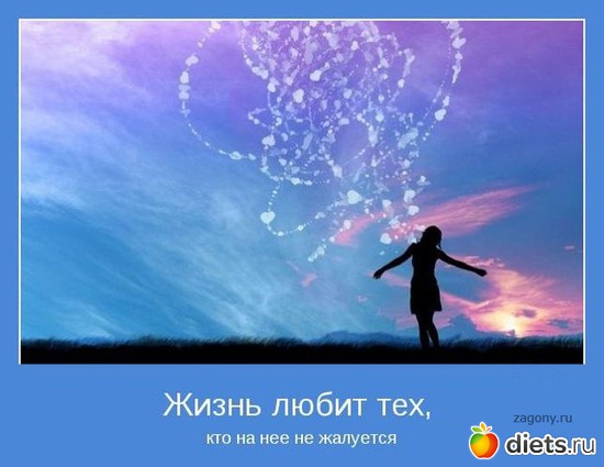 5 ����: ������