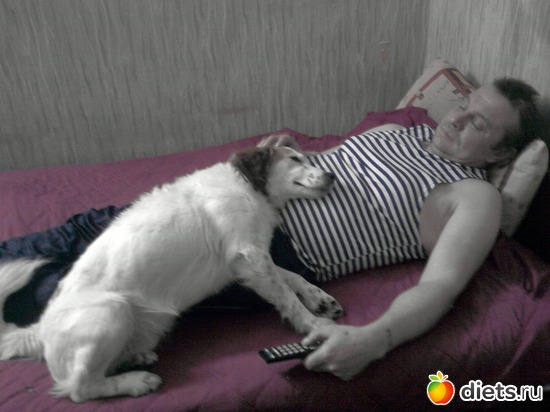 8 фото: мои пушистики