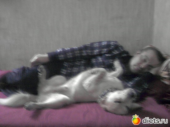 10 фото: мои пушистики