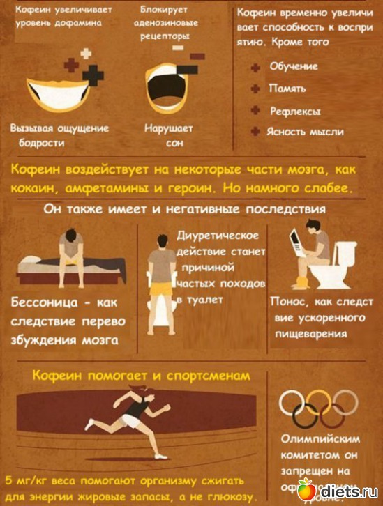 3 ����: ��������