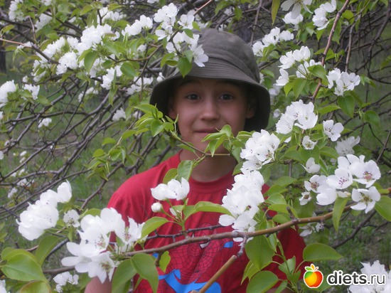 ����., ������: ��� ����