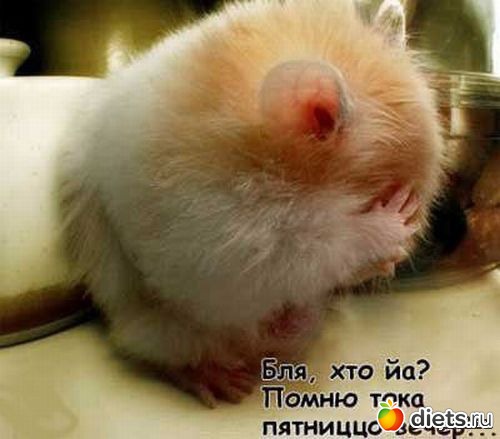 Всяко разно