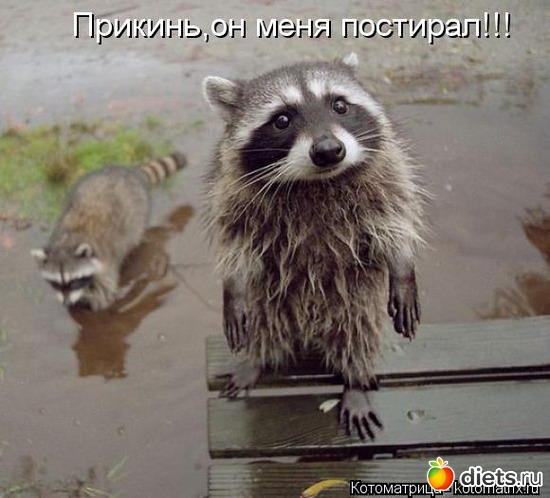 1 ����: ��� �������� ����������