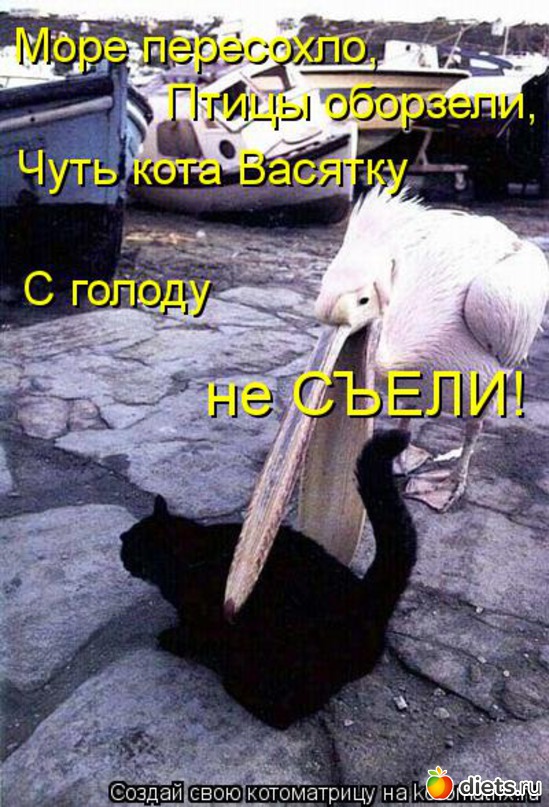 3 ����: ��� �������� ����������