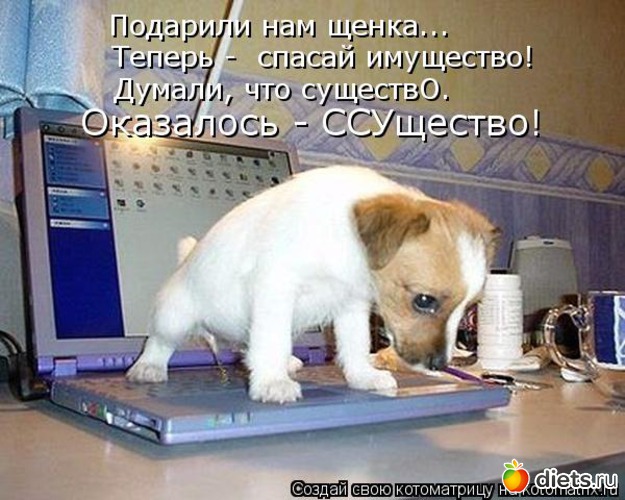 4 ����: ��� �������� ����������