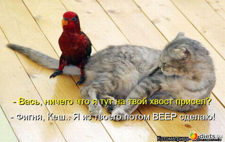 6 ����: ��� �������� ����������