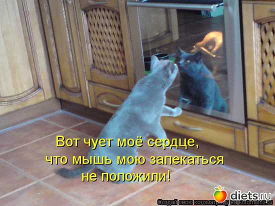 7 ����: ��� �������� ����������