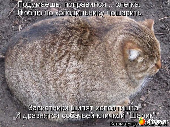 9 ����: ��� �������� ����������