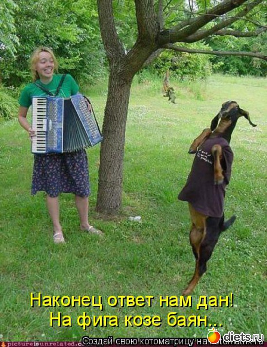 11 ����: ��� �������� ����������