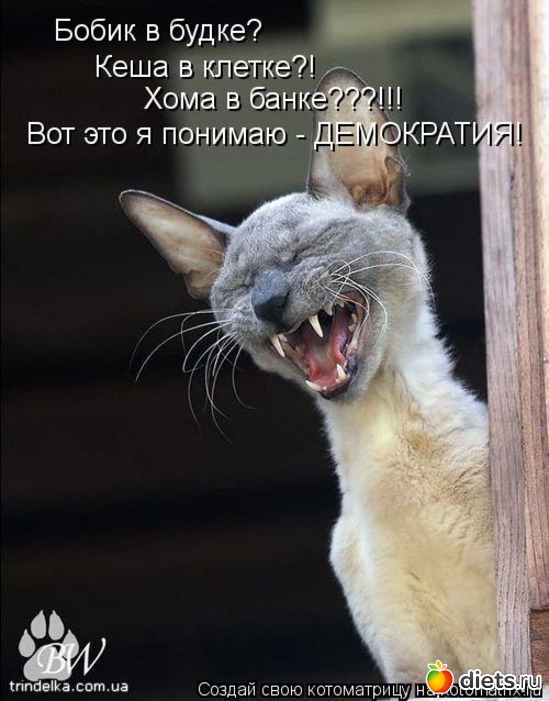 13 ����: ��� �������� ����������