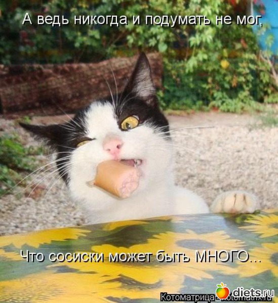 14 ����: ��� �������� ����������