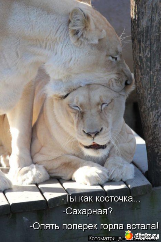 15 ����: ��� �������� ����������