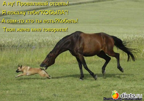 16 ����: ��� �������� ����������