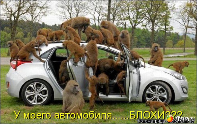 17 ����: ��� �������� ����������