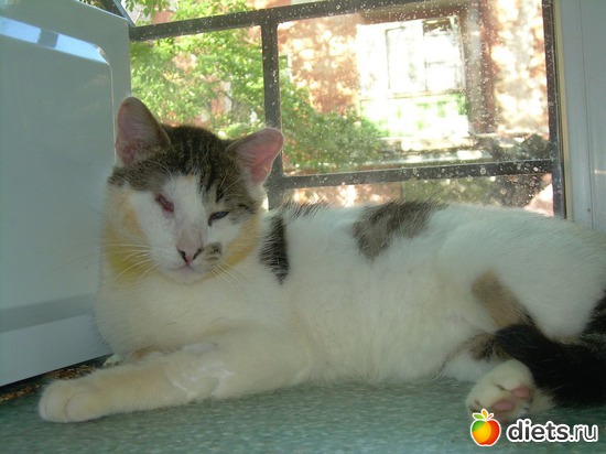 9 фото: Дела рук человеческих....Феликс...