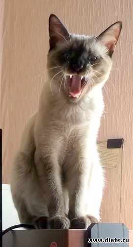 6 ������ ), ������: ����