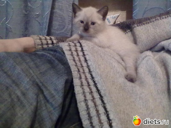 1 ���� ) ������ ���� � ����� ����, ������: ����