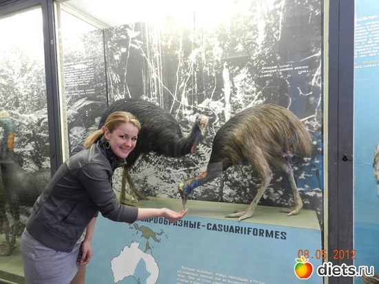 � ������������� �����, ������: ����� 2012