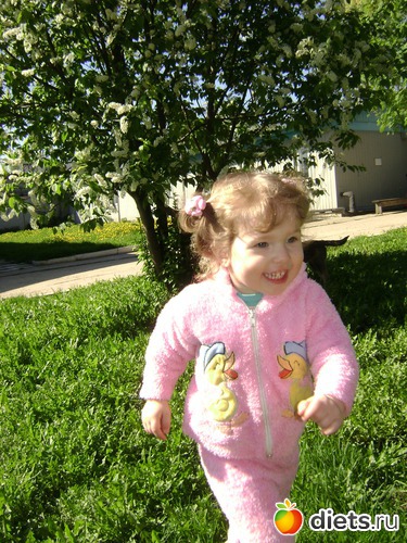 2 ����: �����