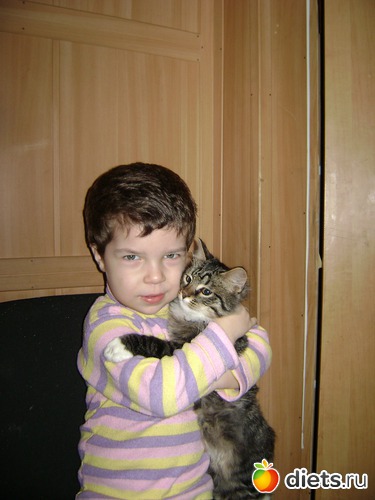 5 ����: �����