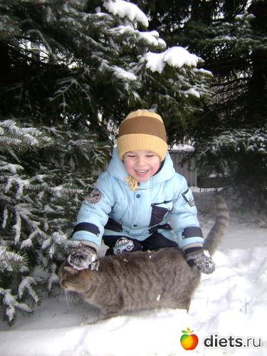 7 ����: �����