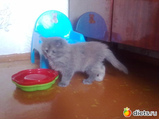 1 ����: ������ ���