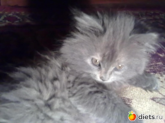 2 ����: ������ ���