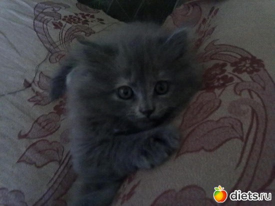 3 ����: ������ ���