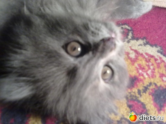 4 ����: ������ ���