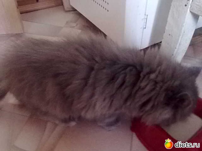 5 ����: ������ ���