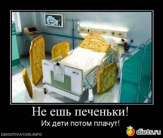 49 ����: ���������