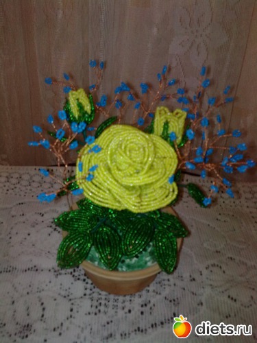 2 ����: �� �����