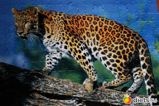 2 фото: паззлы