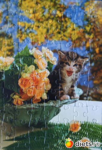 7 фото: паззлы