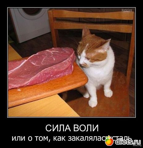 �������� ���������