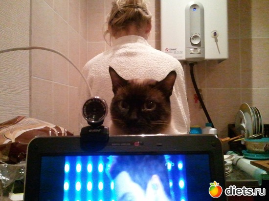 ���� �����  :-), ������: ��� �����