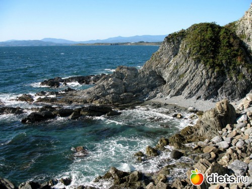 ����� �������