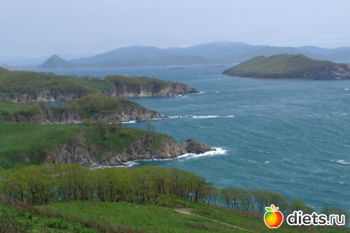 ����� �������