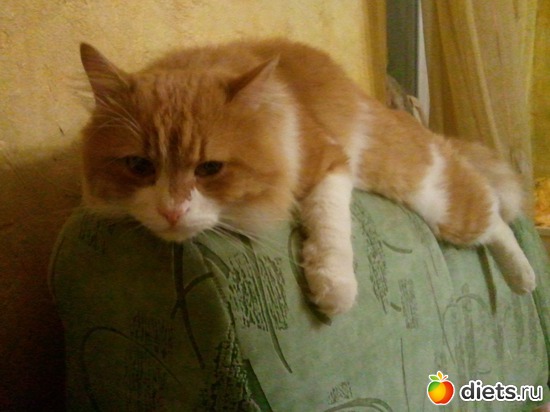 ��� ��� :-), ������: ��� �����