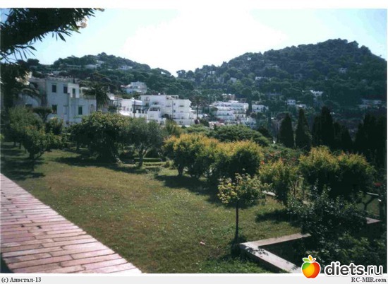 �����, ������: ������