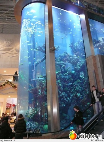 5 ����: ������ ������