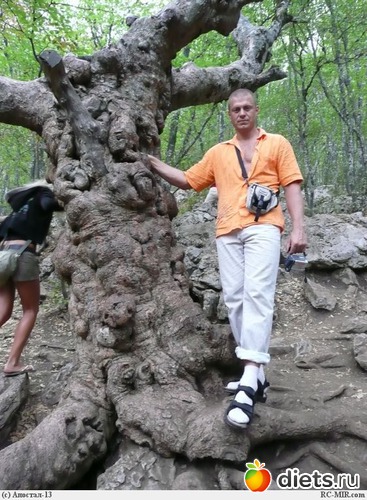 12 ����: ������ ������