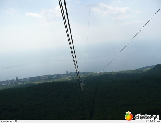 13 ����: ������ ������