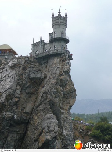 14 ����: ������ ������