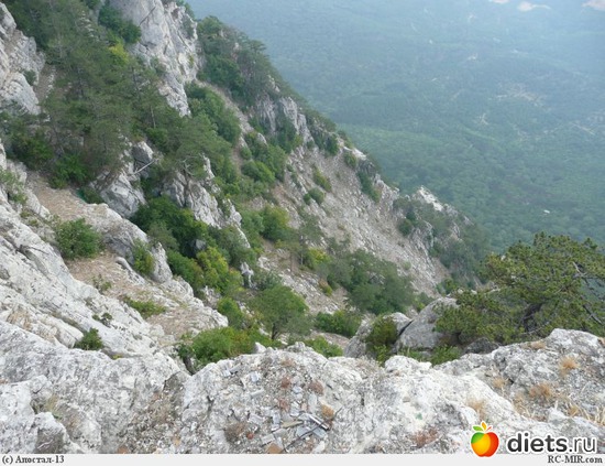 16 ����: ������ ������